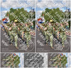 Evenement foto: Nijmeegse Vierdaagse 449