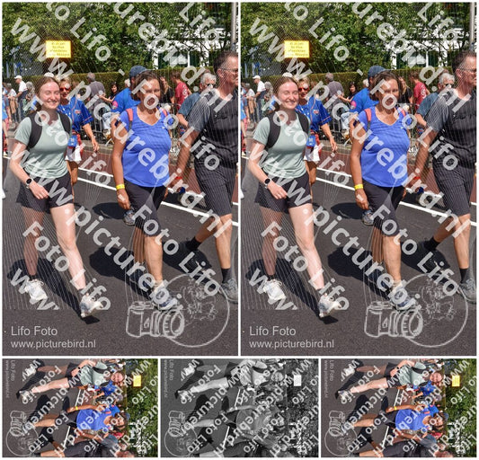 Evenement foto: Nijmeegse Vierdaagse 449