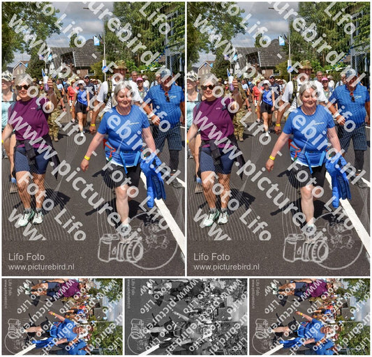 Evenement foto: Nijmeegse Vierdaagse 449