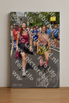 Evenement foto: Nijmeegse Vierdaagse 449