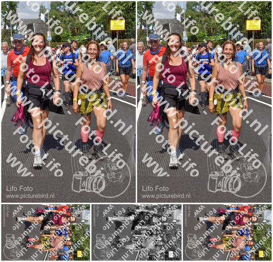 Evenement foto: Nijmeegse Vierdaagse 449