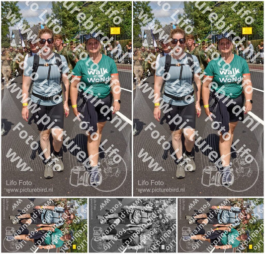 Evenement foto: Nijmeegse Vierdaagse 449