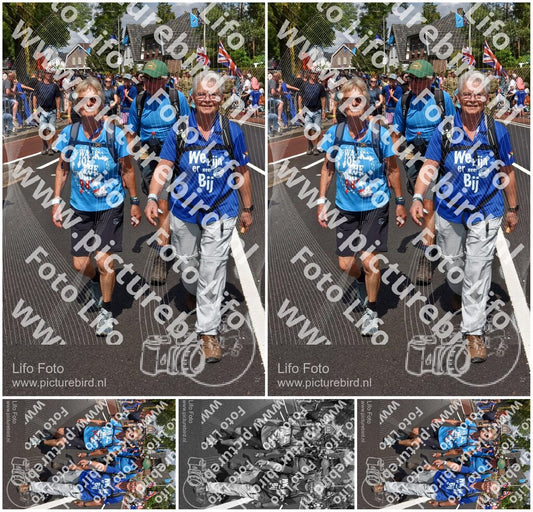 Evenement foto: Nijmeegse Vierdaagse 449