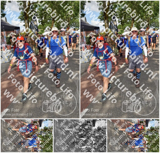 Evenement foto: Nijmeegse Vierdaagse 448