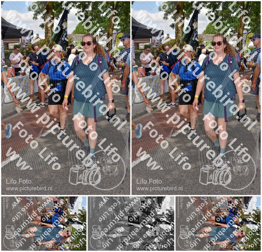 Evenement foto: Nijmeegse Vierdaagse 448