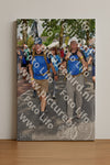 Evenement foto: Nijmeegse Vierdaagse 448