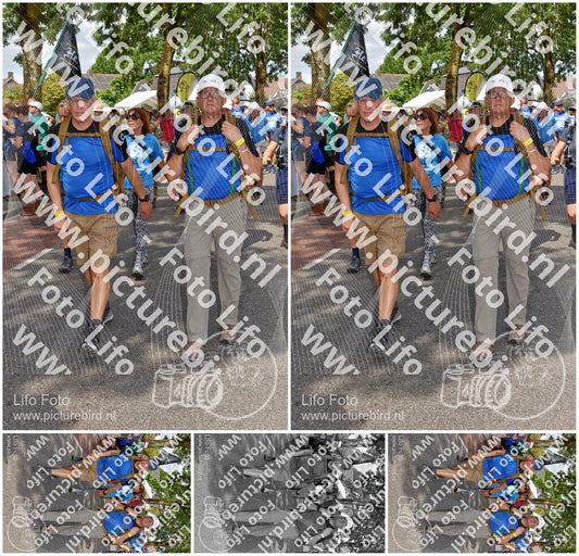 Evenement foto: Nijmeegse Vierdaagse 448