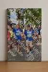Evenement foto: Nijmeegse Vierdaagse 448