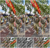 Evenement foto: Nijmeegse Vierdaagse 448