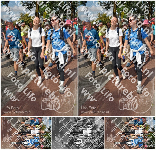 Evenement foto: Nijmeegse Vierdaagse 448