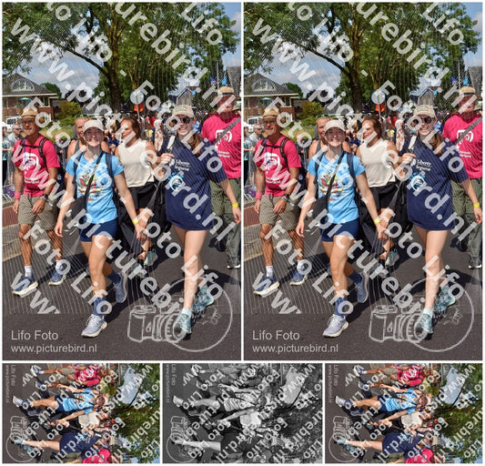 Evenement foto: Nijmeegse Vierdaagse 448