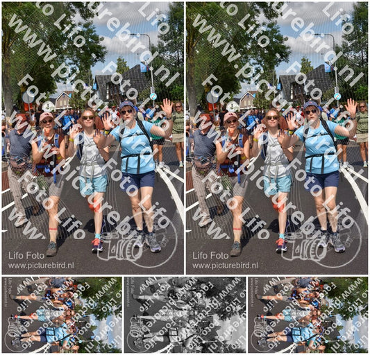 Evenement foto: Nijmeegse Vierdaagse 448