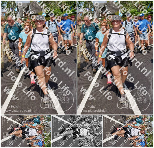 Evenement foto: Nijmeegse Vierdaagse 448