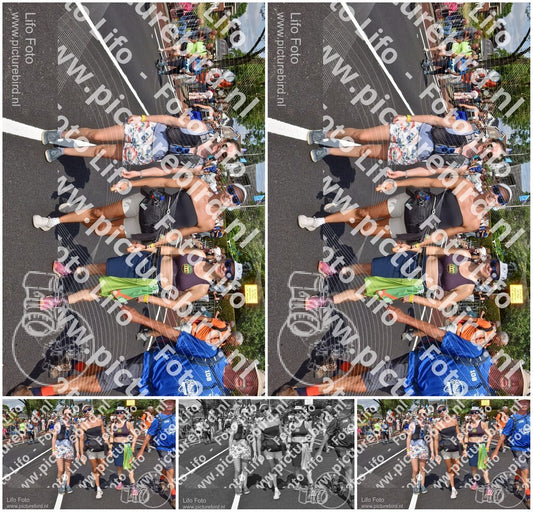 Evenement foto: Nijmeegse Vierdaagse 448