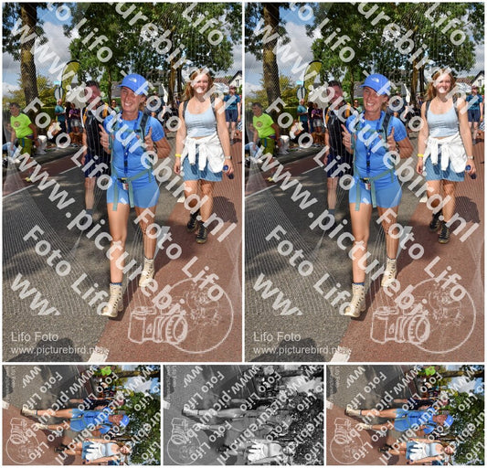 Evenement foto: Nijmeegse Vierdaagse 447
