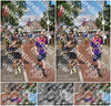 Evenement foto: Nijmeegse Vierdaagse 447