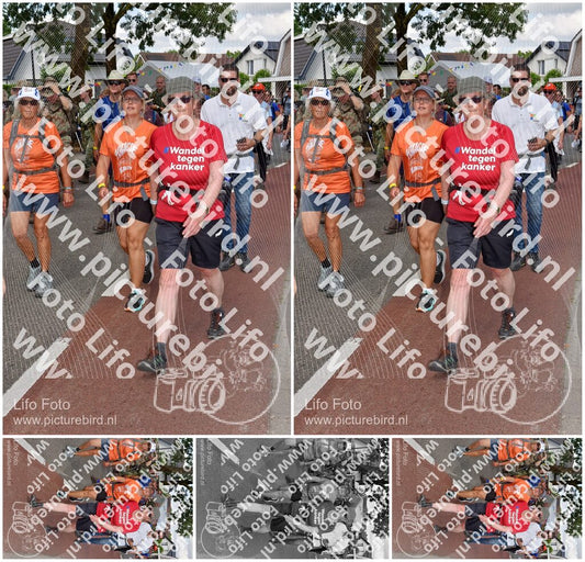 Evenement foto: Nijmeegse Vierdaagse 447
