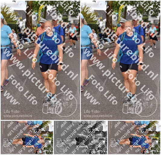 Evenement foto: Nijmeegse Vierdaagse 447
