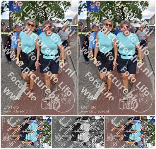 Evenement foto: Nijmeegse Vierdaagse 447