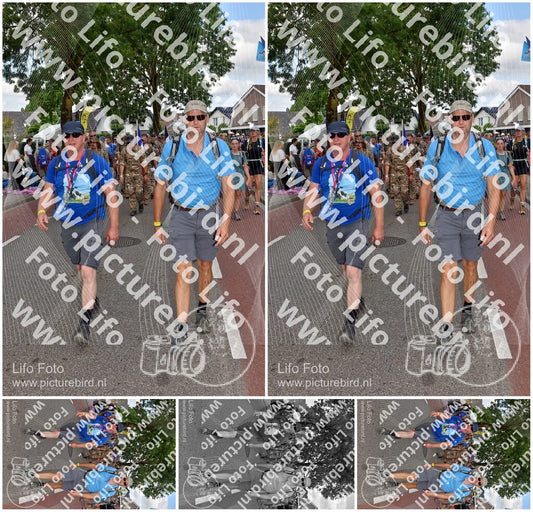 Evenement foto: Nijmeegse Vierdaagse 447