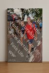 Evenement foto: Nijmeegse Vierdaagse 447