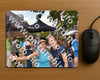 Evenement foto: Nijmeegse Vierdaagse 447
