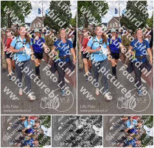Evenement foto: Nijmeegse Vierdaagse 447