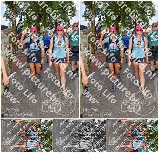 Evenement foto: Nijmeegse Vierdaagse 447