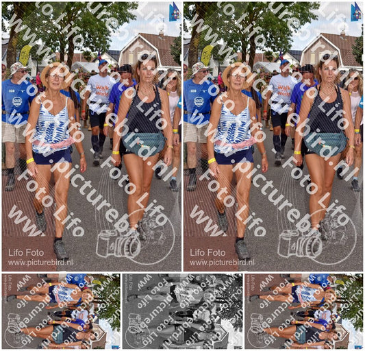Evenement foto: Nijmeegse Vierdaagse 447