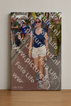 Evenement foto: Nijmeegse Vierdaagse 447