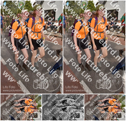 Evenement foto: Nijmeegse Vierdaagse 447