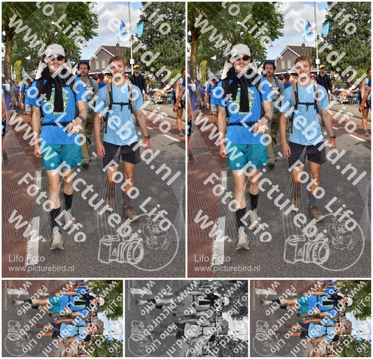 Evenement foto: Nijmeegse Vierdaagse 447