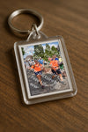 Evenement foto: Nijmeegse Vierdaagse 447