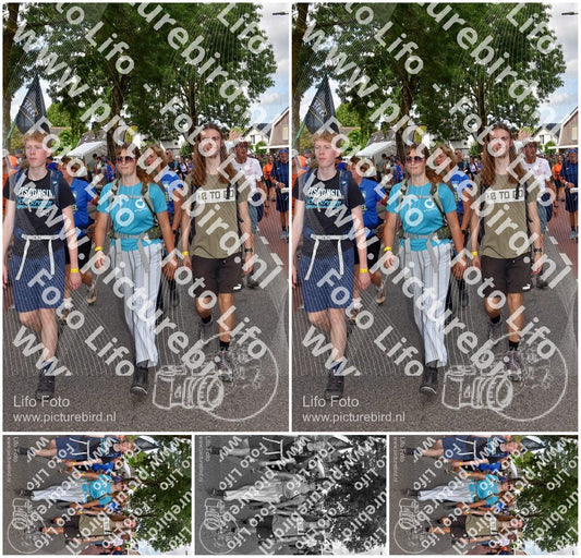 Evenement foto: Nijmeegse Vierdaagse 447