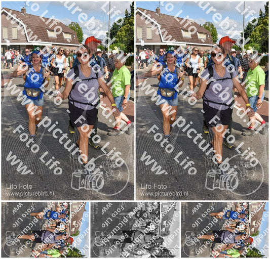 Evenement foto: Nijmeegse Vierdaagse 446