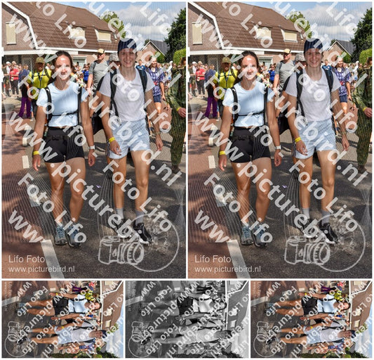 Evenement foto: Nijmeegse Vierdaagse 446