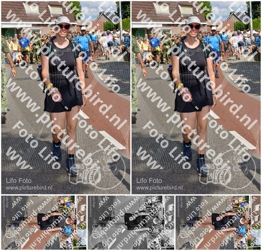 Evenement foto: Nijmeegse Vierdaagse 446
