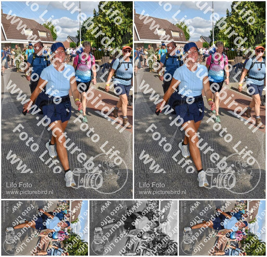 Evenement foto: Nijmeegse Vierdaagse 446
