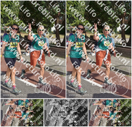 Evenement foto: Nijmeegse Vierdaagse 446