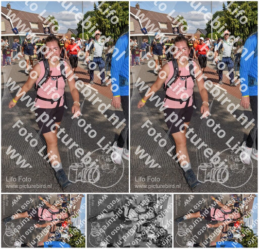 Evenement foto: Nijmeegse Vierdaagse 446