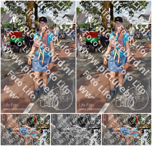 Evenement foto: Nijmeegse Vierdaagse 446