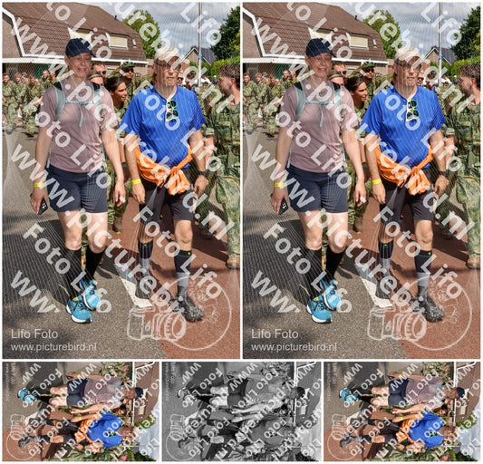 Evenement foto: Nijmeegse Vierdaagse 446