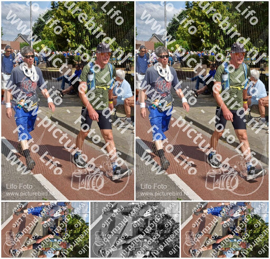 Evenement foto: Nijmeegse Vierdaagse 446