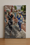 Evenement foto: Nijmeegse Vierdaagse 446