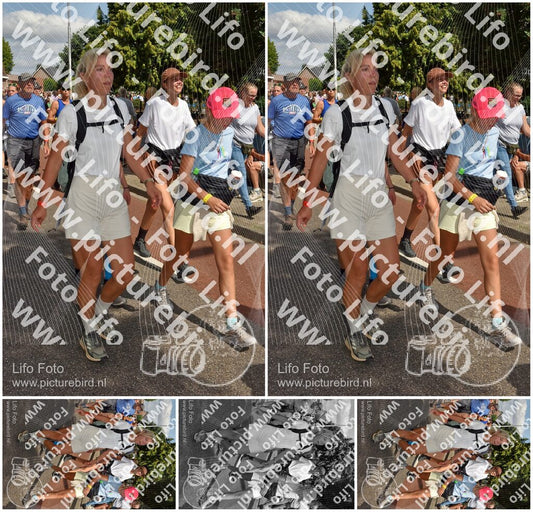 Evenement foto: Nijmeegse Vierdaagse 446
