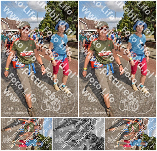 Evenement foto: Nijmeegse Vierdaagse 446