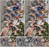 Evenement foto: Nijmeegse Vierdaagse 446