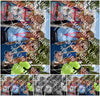 Evenement foto: Nijmeegse Vierdaagse 446