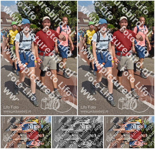 Evenement foto: Nijmeegse Vierdaagse 446
