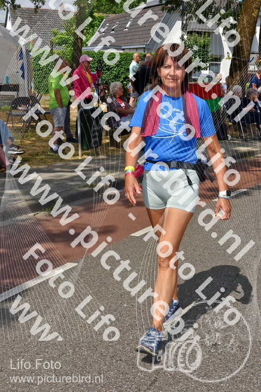 Evenement foto: Nijmeegse Vierdaagse 446